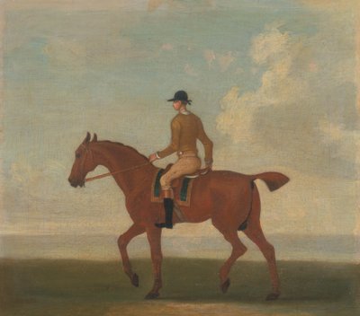 Uno de los cuatro retratos de caballos - un caballo de carreras castaño con jinete arriba: caminando hacia la izquierda; jinete con chaqueta amarillo ante de James Seymour