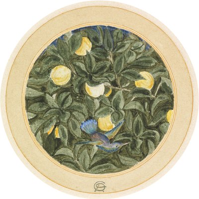 El colibrí de James Smetham