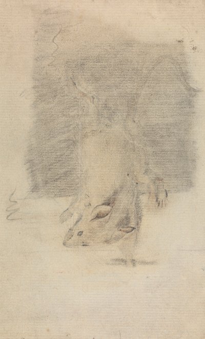 Un ratón de James Sowerby