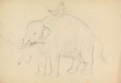 Elefante con jinete de James Sowerby