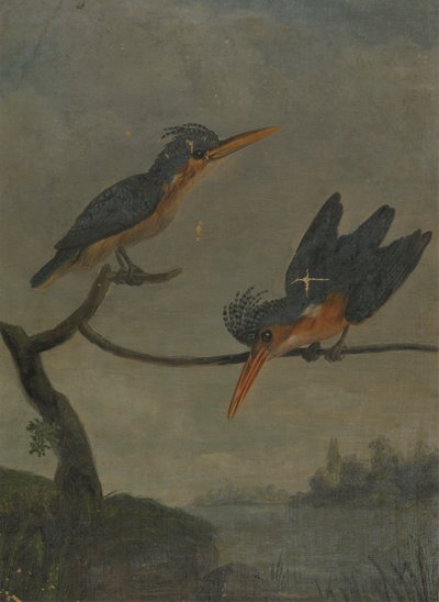 Dos martines pescadores junto a un lago de James Sowerby