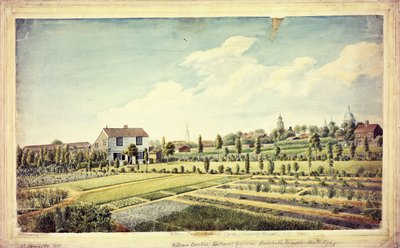 El jardín botánico de William Curtis, Lambeth Marsh, antes de 1787, c.1787 de James Sowerby