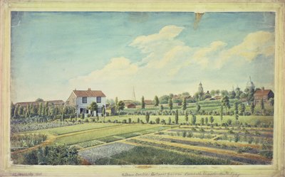 Jardines Botánicos de William Curtis, Lambeth Marsh, c.1787 de James Sowerby