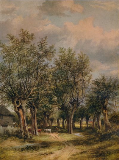Un camino cerca de Norwich, c1837 de James Stark
