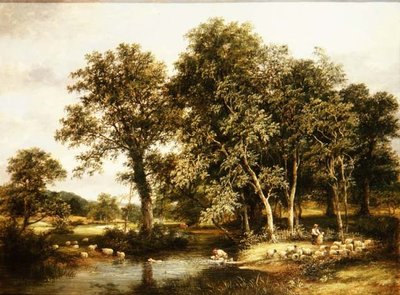 Baño de ovejas de James Stark