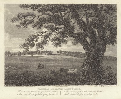 Robert Bloomfield, poeta: Wakefield Lodge, Bosque de Whittlebury (grabado) de James Storer