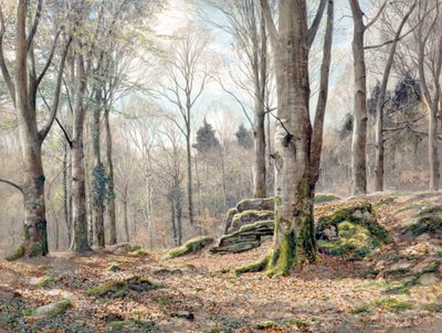 Un bosque galés (acuarela) de James Thomas Watts