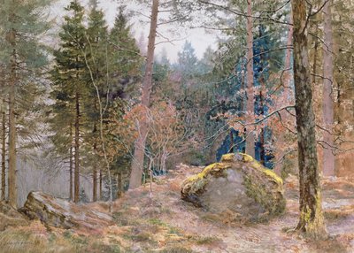 En un bosque galés, invierno de James Thomas Watts