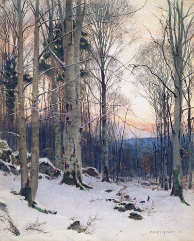 Crepúsculo, bosques de hayas de James Thomas Watts