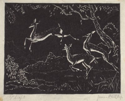 Vuelo (xilografía) de James W. Reid