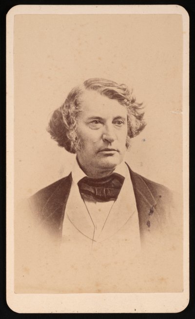 Retrato de Charles Sumner 1811-1874, Antes de 1874 de James Wallace Black