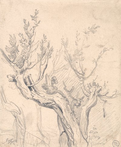 Un árbol nudoso de James Ward