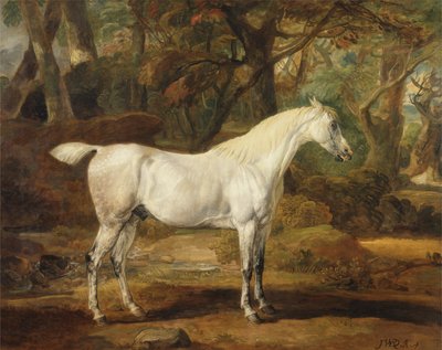 Un Semental Árabe Gris, Propiedad de Sir Watkin Williams-Wynn de James Ward
