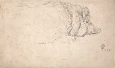 Un cerdo, durmiendo de James Ward