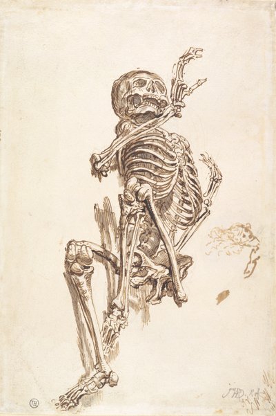Un esqueleto humano (recto) de James Ward