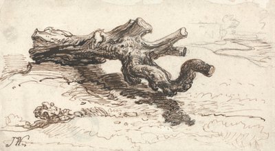 Un tronco de árbol en el suelo de James Ward