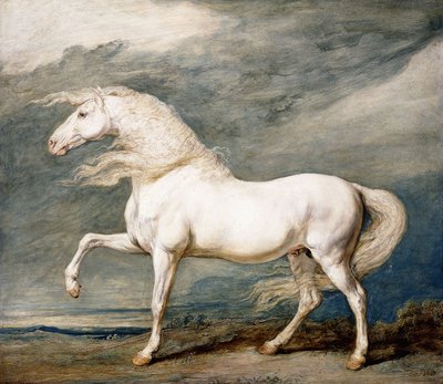 Adonis, el caballo favorito del rey Jorge III de James Ward