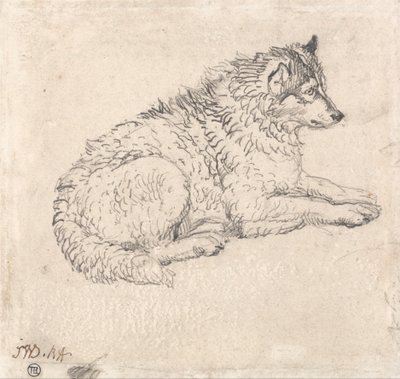 Perro del Ártico, mirando a la derecha de James Ward