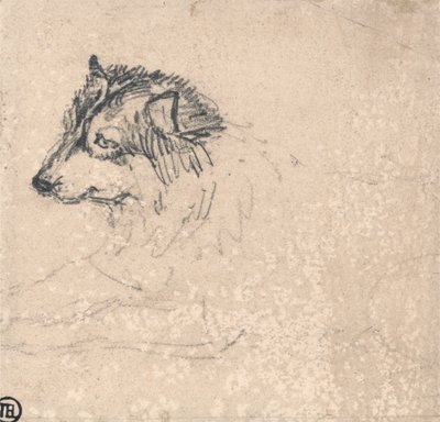Perro ártico, mirando a la izquierda de James Ward