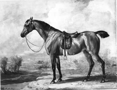  de James Ward