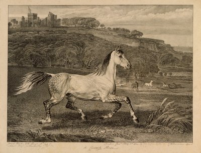 Caballo cosaco, de Caballos célebres, un conjunto de catorce grabados de carreras publicados por el artista, 1823-24 de James Ward