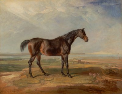 Dr. Syntax, un caballo de carreras de la bahía, de pie en un paisaje costero, un estuario más allá de de James Ward