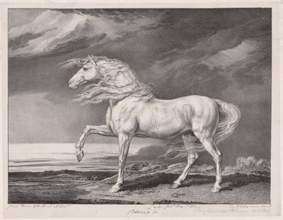 Fourteen Celebrated Horses:  Adonis de James Ward