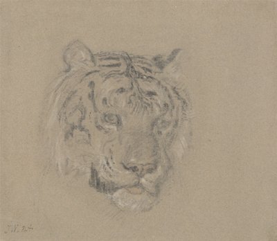 Cabeza de tigre de James Ward