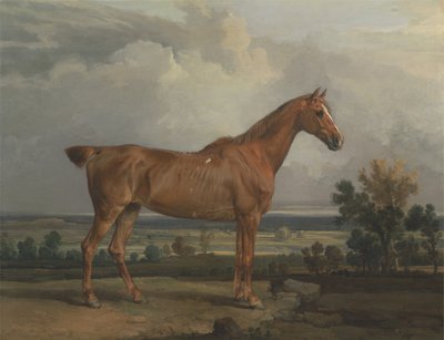 Cazador en un paisaje de James Ward