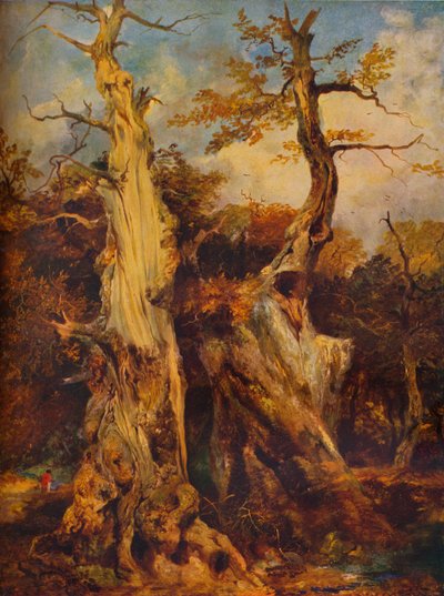 En el Bosque, siglo XIX de James Ward