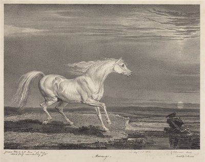 Marengo de James Ward