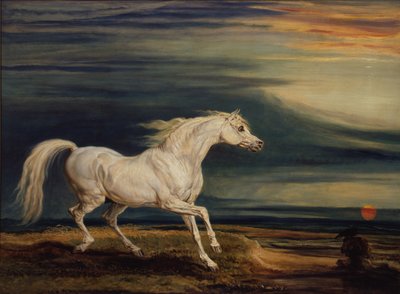 Marengo, el caballo árabe montado por Napoleón Bonaparte en la Batalla de Waterloo de James Ward