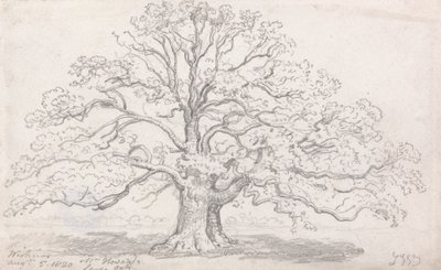 El gran roble del Sr. Howard, 5 de agosto de 1820 de James Ward