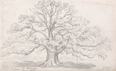 El Gran Roble del Sr. Howard, 5 de Agosto de 1820 de James Ward