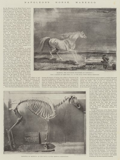 El Caballo de Napoleón, Marengo de James Ward