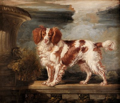 Retrato de Dash, un spaniel favorito, propiedad de Lady Frances Vane-Tempest de James Ward