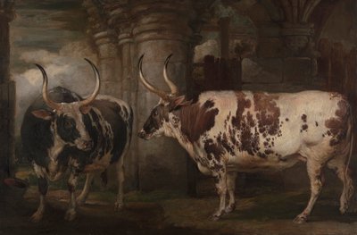 Retratos de dos bueyes extraordinarios, propiedad del conde de Powis de James Ward