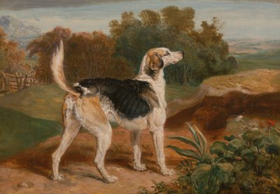Ravager, uno de los sabuesos de Lambton de James Ward