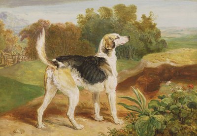 Ravager, uno de los sabuesos de Lambton de James Ward