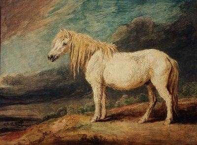 Poni de Shetland de James Ward
