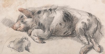 Cerdo dormilón de James Ward