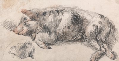 Cerdo dormilón de James Ward