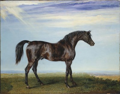 Smolensko, 1826 de James Ward