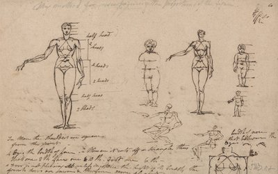 Estudios de anatomía, medidas y escritura de James Ward