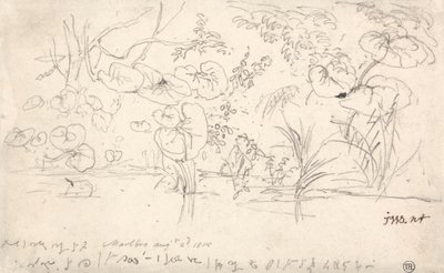 Estudios sobre las plantas, 2 de agosto de 1815 de James Ward