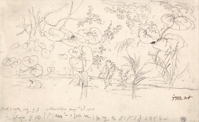 Estudios sobre las plantas, 2 de agosto de 1815 de James Ward