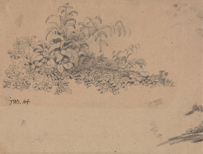 Estudio del sotobosque de James Ward