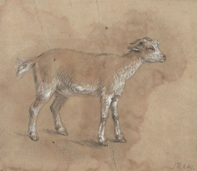 Estudio de un niño de James Ward