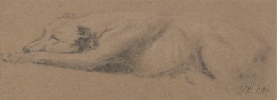 Estudio de un perro dormido de James Ward