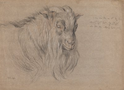 Estudio de la cabeza de un carnero de James Ward